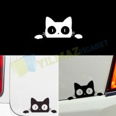 Saklanan Kedi Bagaj Ayna Oto Sticker Arma Etiket Yapıştırma