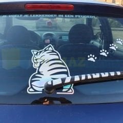 Kedi Kuyruk Pati Hologram Arka Cam Silecek Oto Araba Sticker Etiket Aksesuar Çıkartma