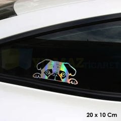 Tembel Köpek Hologram Araba Cam Oto Sticker Yapıştırma Etiket Çıkartma Etiket 20 X 10 Cm