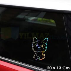 Köpek Hologram Araba Oto Sticker Yapıştırma Etiket Çıkartma Aksesuar 20 X 13 Cm