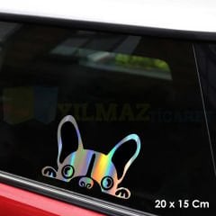 Bakan Köpek Hologram Oto Sticker Cam Araba Yapıştırma Çıkartma Aksesuar Modifiye 20 X 15 Cm