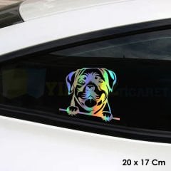 Bakan Köpek Hologram Oto Sticker Cam Araba Yapıştırma Çıkartma Aksesuar Modifiye 20 X 17 Cm
