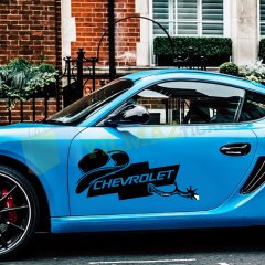 Chevrolet Kovboy Şapka Yan Kapı Altı Cam Kaput Oto Sticker Etiket